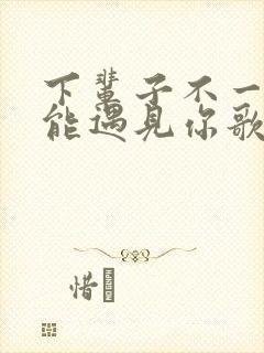 下辈子不一定还能遇见你歌词完整版