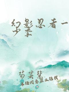 幻影忍者一共多少季