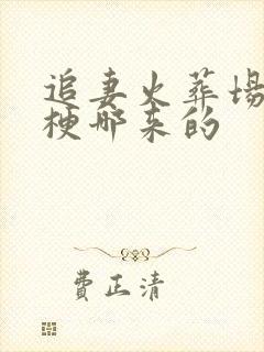 追妻火葬场这个梗哪来的