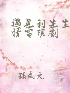 遇见利先生的爱情电视剧