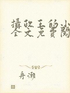 摄政王的小王妃全文免费阅读