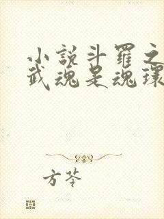 小说斗罗之我的武魂是魂环txt
