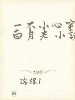 一不小心穿成了白月光 小说