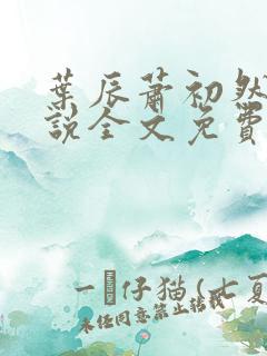 叶辰萧初然的小说全文免费阅读