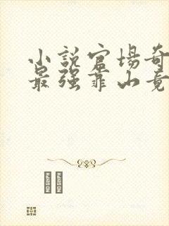 小说官场奇才:最强靠山竟是我自己李澜在