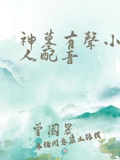 神墓有声小说多人配音