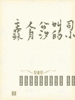 主人公叫司空靖苏月汐的小说名字叫啥