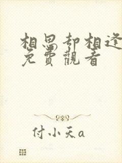 相思却相逢短剧免费观看