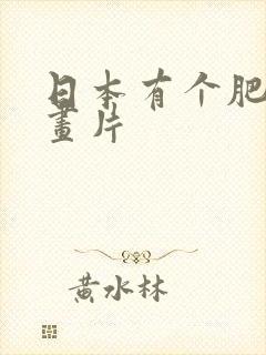 日本有个肥猫动画片