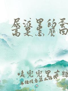 尿液里的蛋白质高是怎么回事