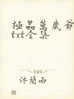 极品万岁爷下载txt全集