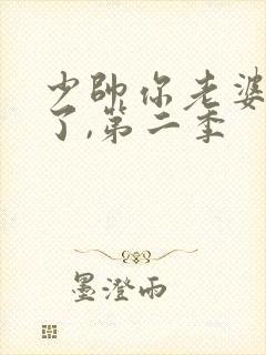 少帅你老婆又跑了,第二季