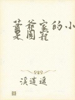 萧爷家的小祖宗是团宠