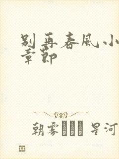 别再春风小城全章节