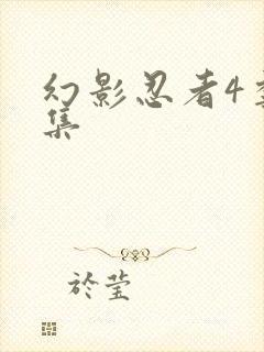 幻影忍者4季全集