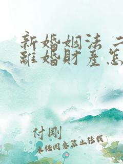 新婚姻法 二婚离婚财产怎么分