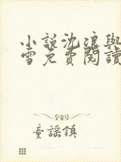 小说沈浪与苏若雪免费阅读