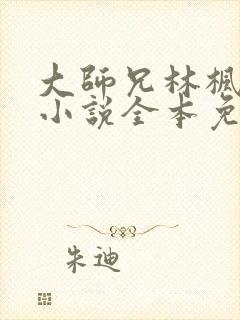 大师兄林枫穿越小说全本免费阅读