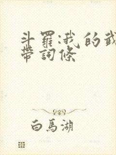 斗罗:我的武魂带词条