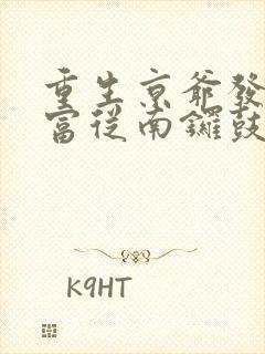 重生京爷发家致富从南锣鼓巷开始