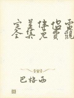 完美伴侣电视剧全集免费观看