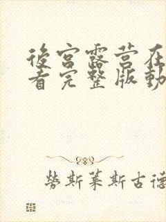 后宫露营在线观看完整版动