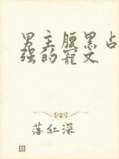 男主腹黑占有欲强的宠文