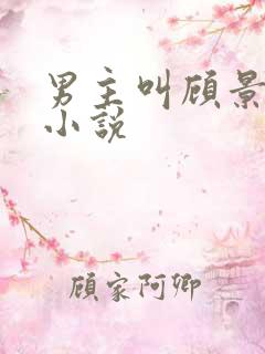 男主叫顾景琛的小说