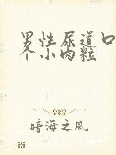 男性尿道口旁有个小肉粒