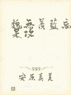 魏无羡蓝忘机谁是攻