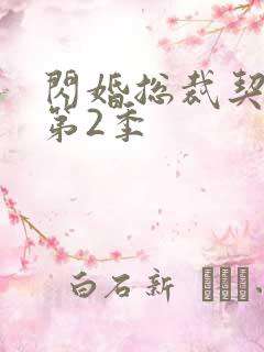 闪婚总裁契约妻第2季