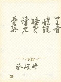 爱情睡醒了48集免费观看