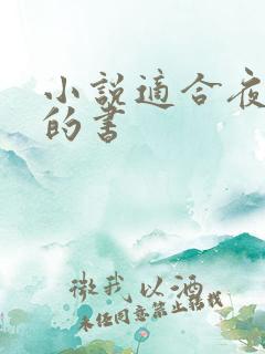 小说适合夜晚看的书