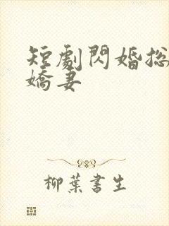 短剧闪婚总裁小娇妻