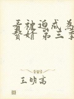 看被迫成为反派赘婿 第三季 动漫