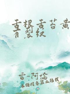 舌根舌苔黄厚腻有裂纹