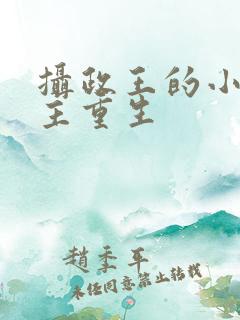 摄政王的小说女主重生