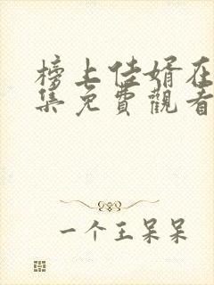 榜上佳婿在线全集免费观看电视剧