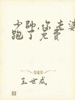 少帅,你老婆又跑了免费