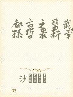 都市之医武风流孙哲最新章节在线阅读