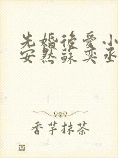 先婚后爱小说顾安然苏奕丞