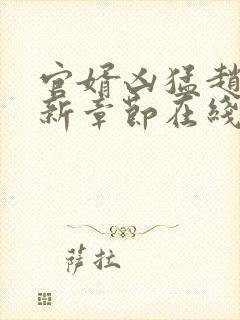 官婿凶猛赵阳最新章节在线阅读