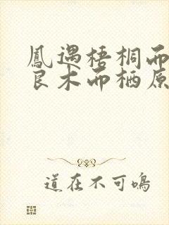 凤遇梧桐而止择良木而栖原文