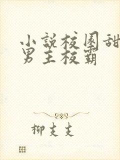 小说校园甜宠文男主校霸