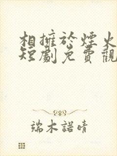 相拥于烟火尽头短剧免费观看