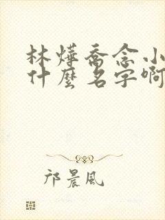 林烨乔念小说叫什么名字啊