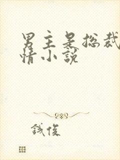 男主是总裁的言情小说