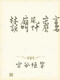 林庭风宋言汐小说叫什么名字