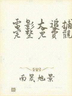 电影大追捕在线完整免费观看国语