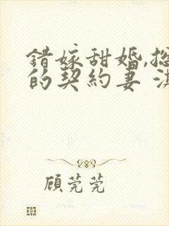 错嫁甜婚,总裁的契约妻 淇沅